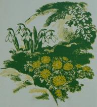 Galanthus Titelseite Gartenschönheit 1938